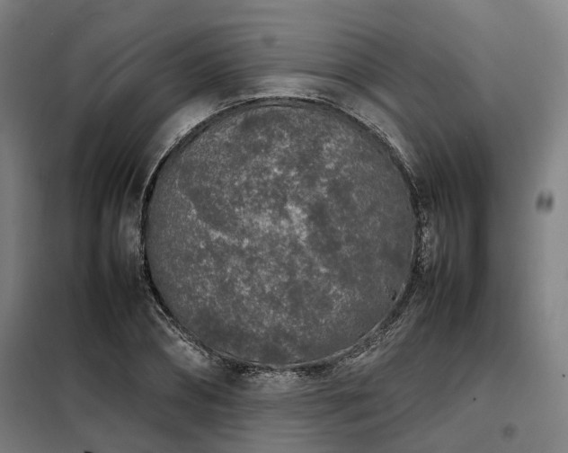 X0000098120882200804041405