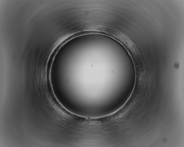 X0000098120884200804041405