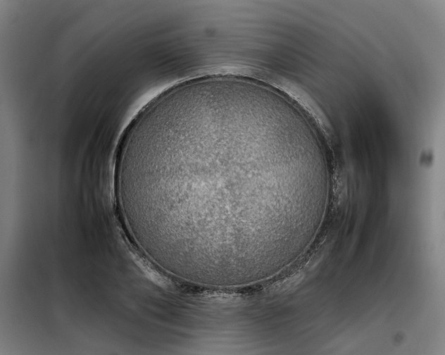 X0000098120886200804041405