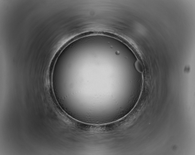 X0000098120887200804041405
