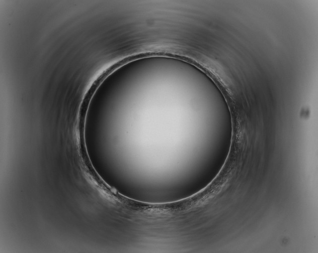 X0000098120888200804041405