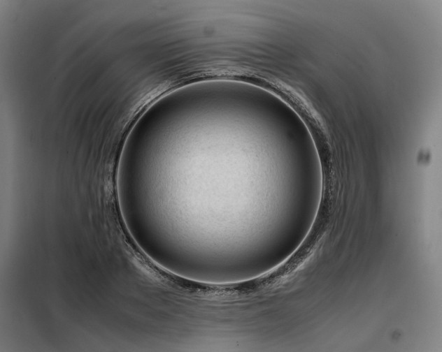 X0000098120889200804041405