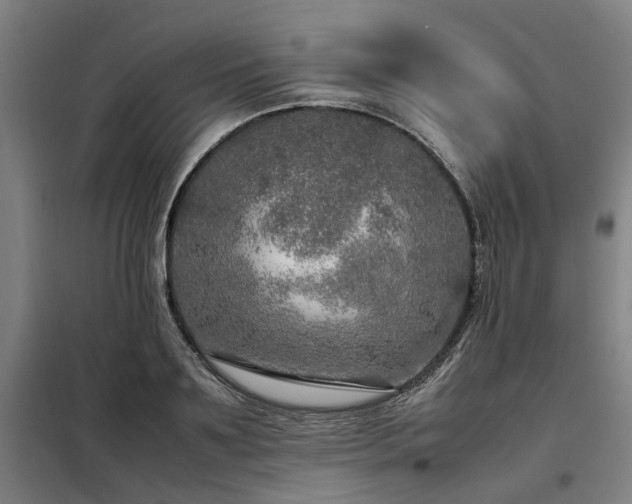 X0000098120891200804041405