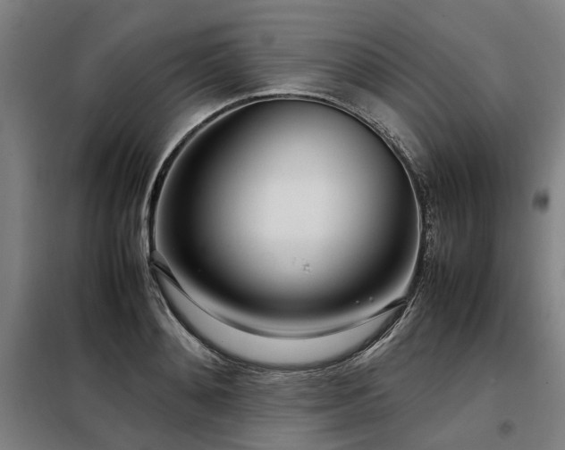 X0000098120892200804041405