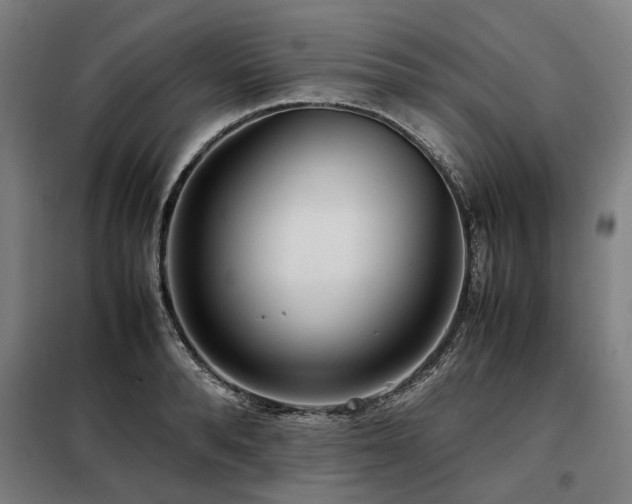 X0000098120896200804041405