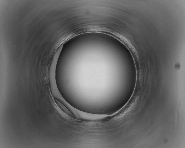 X0000098120897200804041405