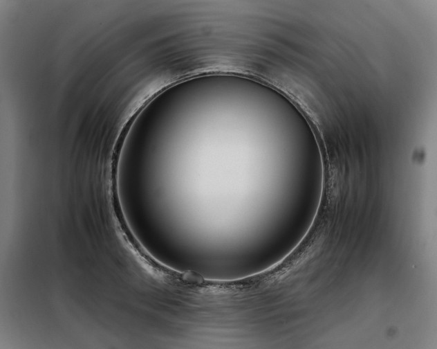 X0000098120898200804041405