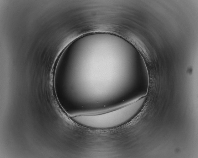 X0000098120900200804041405
