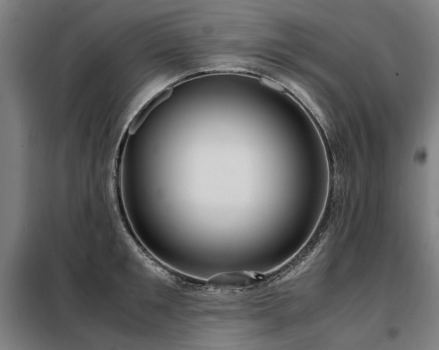 X0000098120901200804041405