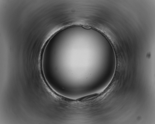 X0000098120902200804041405