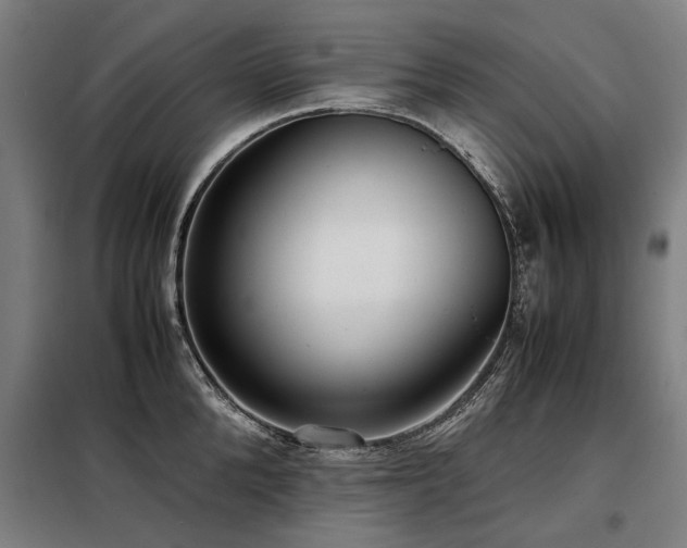 X0000098120904200804041405