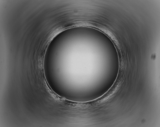 X0000098120905200804041405