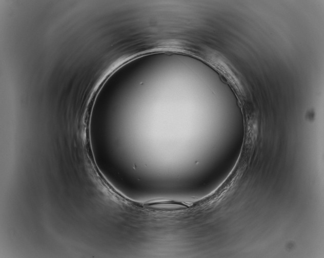 X0000098120908200804041405