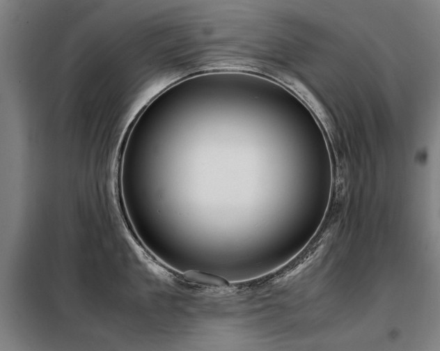 X0000098120909200804041405