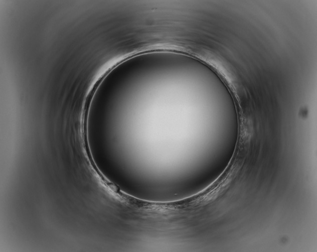 X0000098120910200804041405
