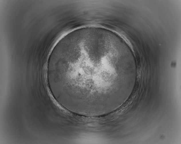 X0000098120911200804041405