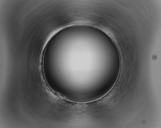 X0000098120912200804041405