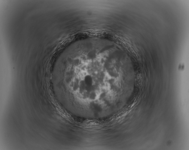 X0000098120913200804041404