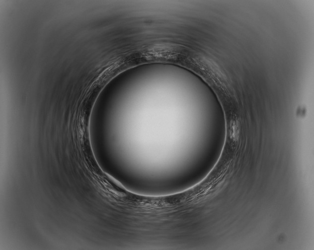 X0000098120915200804041404