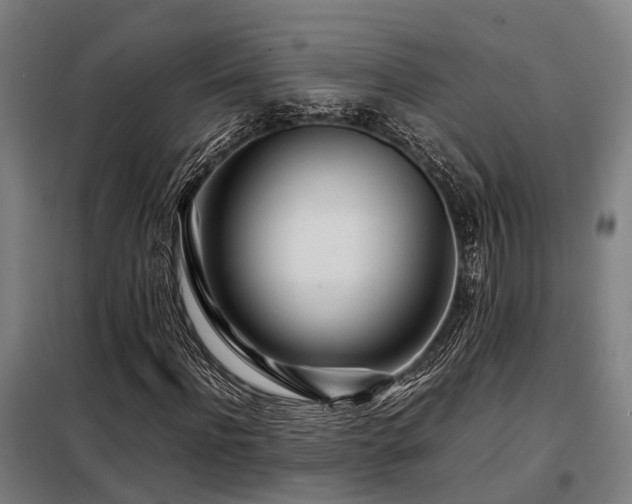 X0000098120916200804041404