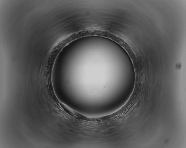 X0000098120919200804041404
