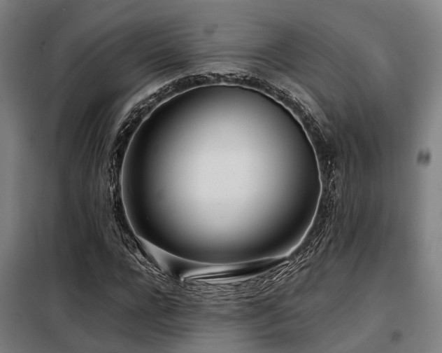 X0000098120920200804041404