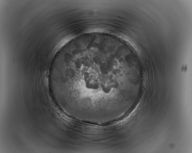 X0000098120921200804041404