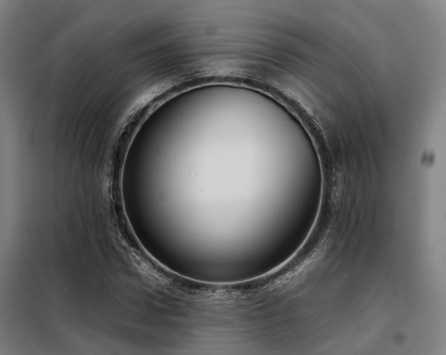 X0000098120922200804041404