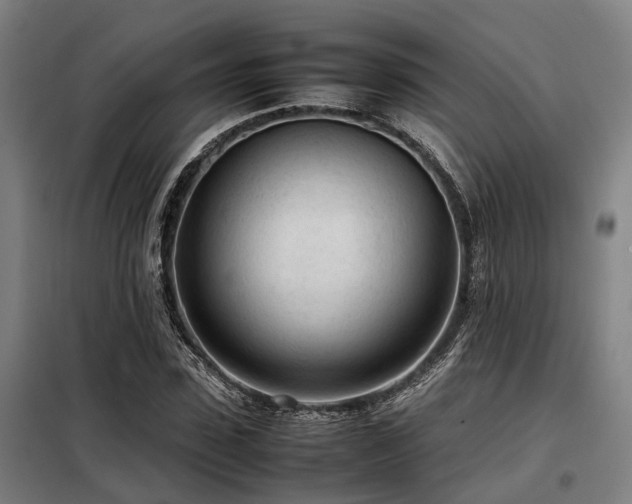 X0000098120923200804041404
