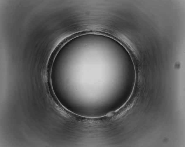 X0000098120924200804041404