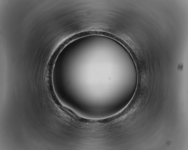 X0000098120926200804041404