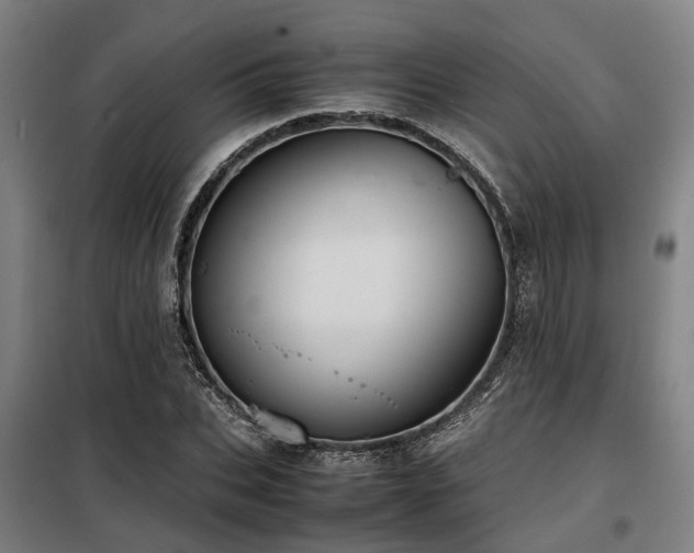 X0000098120927200804041404