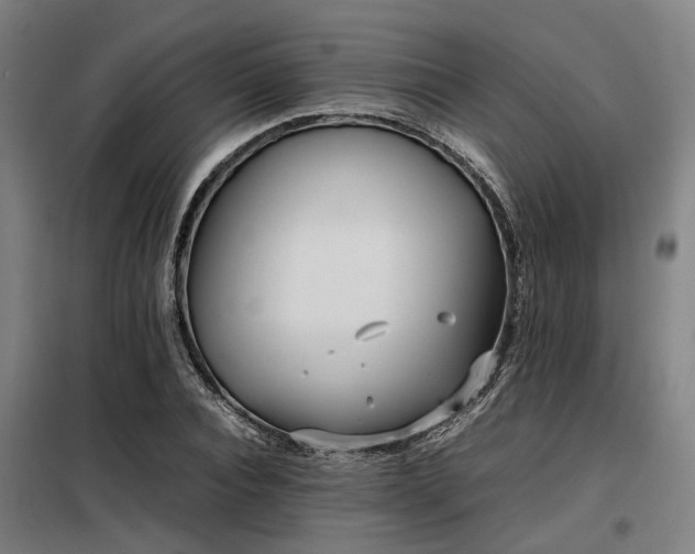 X0000098120928200804041404