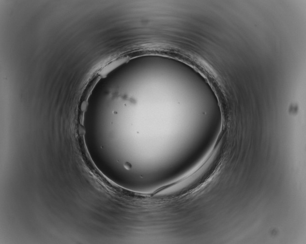 X0000098120930200804041404