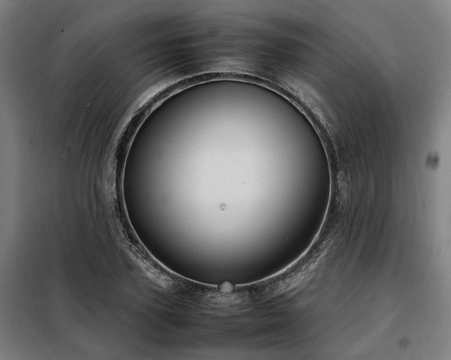 X0000098120931200804041404