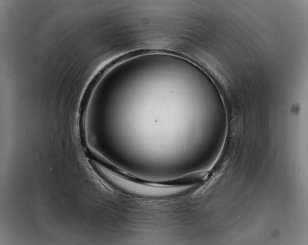 X0000098120932200804041404