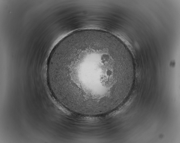 X0000098120933200804041404