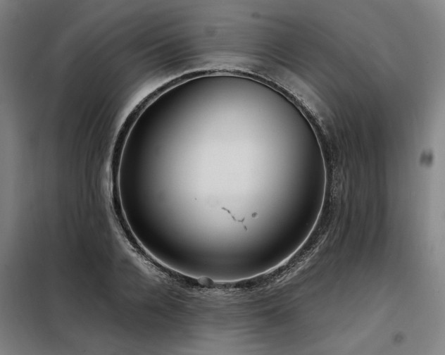 X0000098120936200804041404