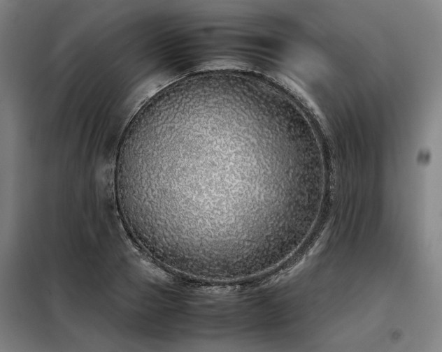 X0000098120937200804041404