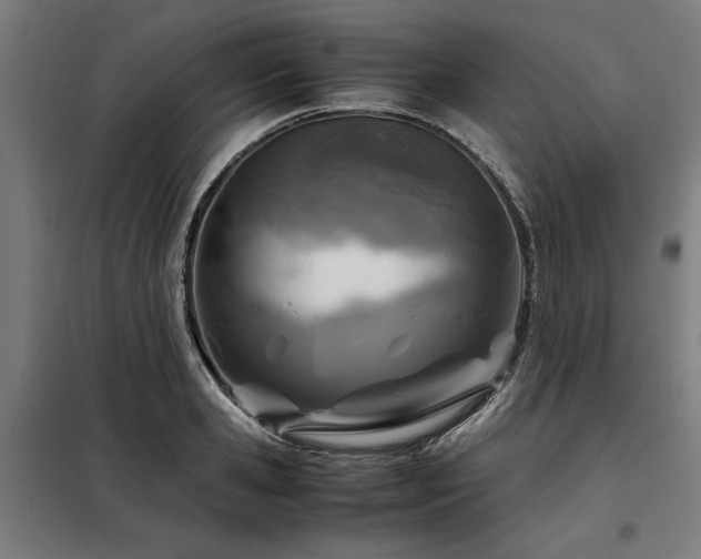 X0000098120941200804041405