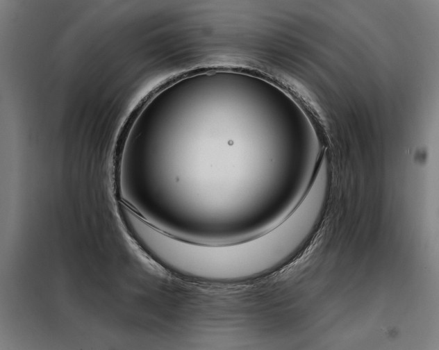 X0000098120942200804041405