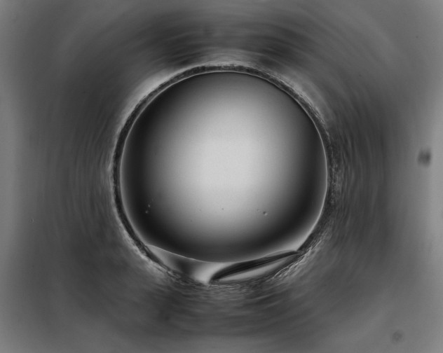X0000098120943200804041405