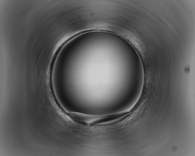 X0000098120944200804041405