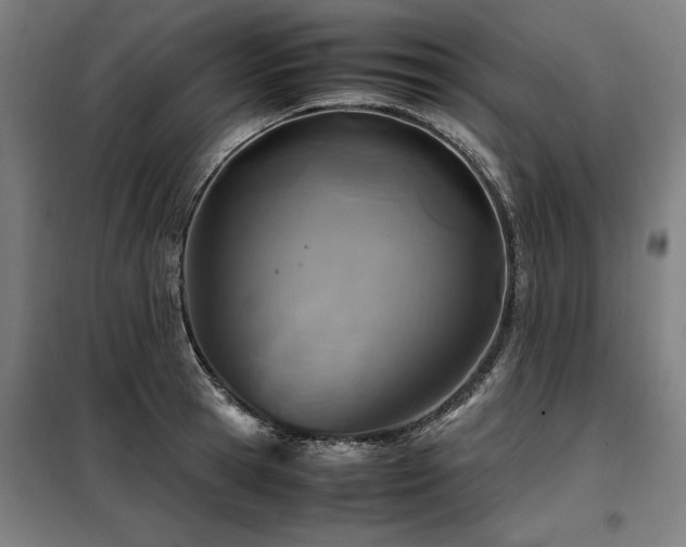 X0000098120945200804041405