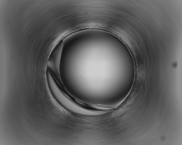 X0000098120946200804041405