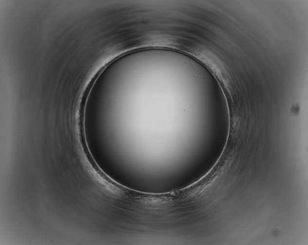 X0000098120947200804041405