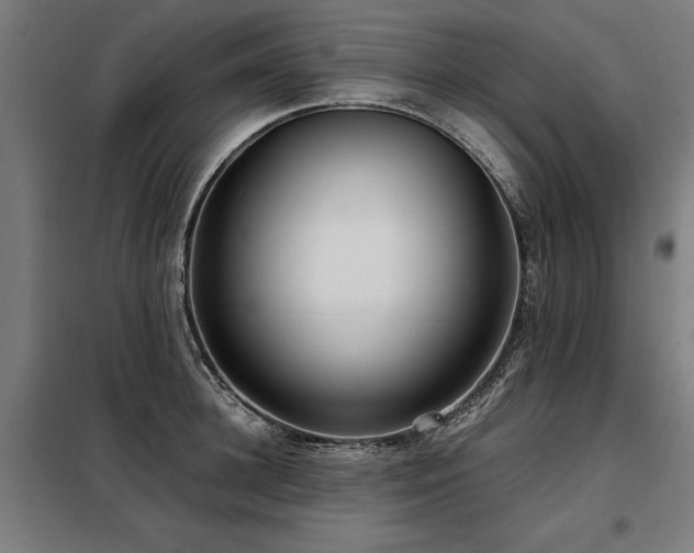 X0000098120948200804041405