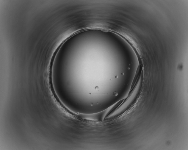 X0000098120949200804041405