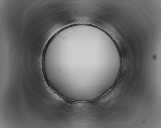 X0000098120950200804041405