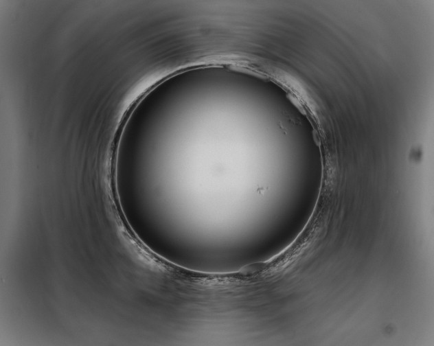 X0000098120952200804041405